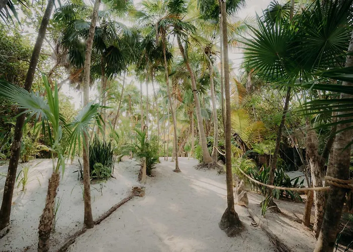 Luxury Poolside Gem With Pool, Jacuzzi & Gym * Tulum